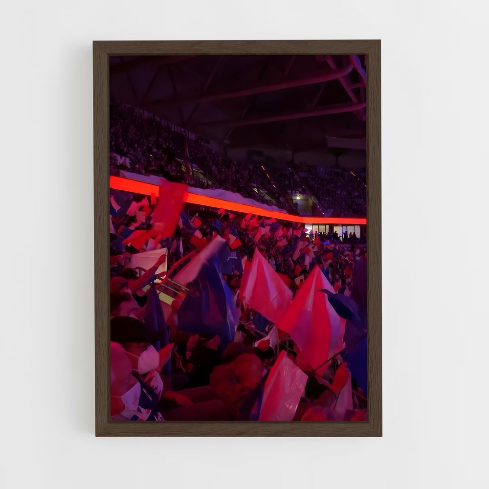 Poster Adler mannheim – affiche Hockey sur glace (vue 5)